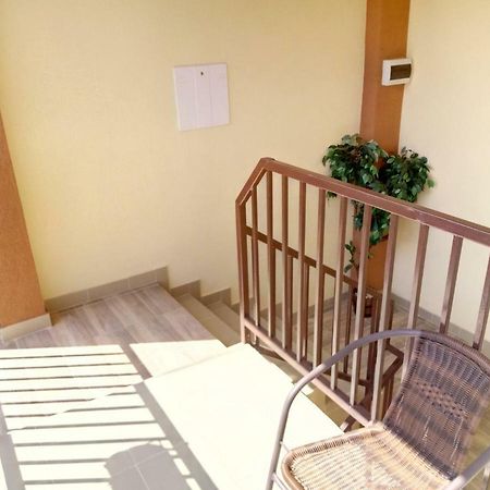 Camere De Inchiriat Carpati フネドアラ エクステリア 写真